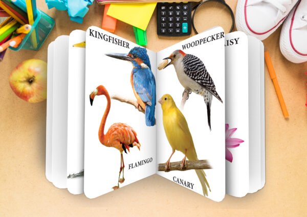 Birds & Flowers | 2 in 1 My Lovely Board Book - Image 7