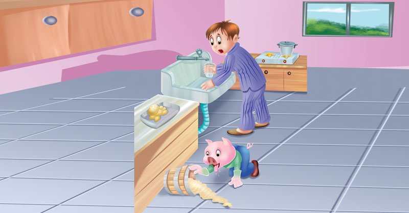 The-husband-who-was-to-mind-thehouse(Nowway)