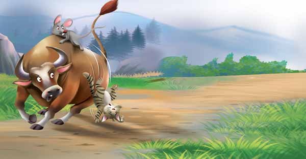 The-race-for-the-Chinease-Zodiac-j