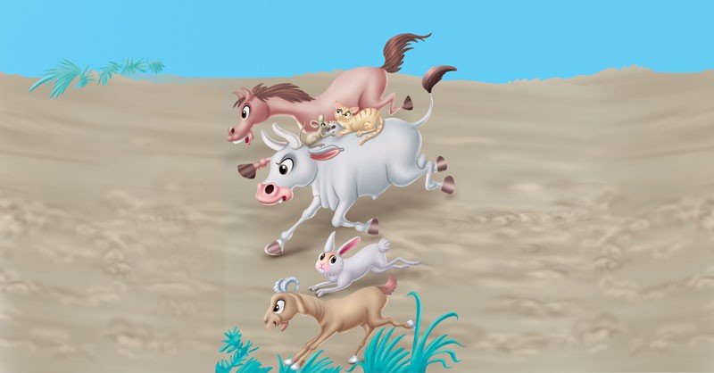 Why-Cats-Chase-Rats-(China)_JPE