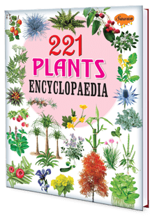 221-Plants-Encyclopedia