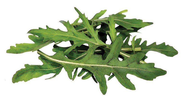 Arugula
