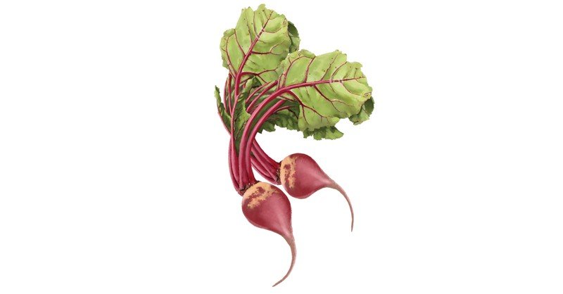 Beets