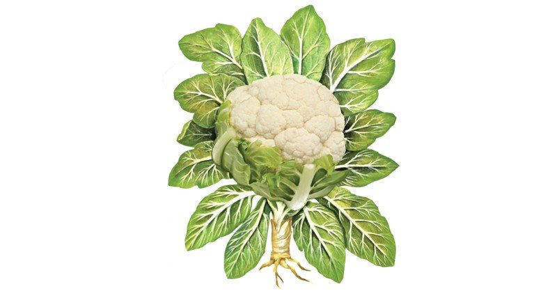 Cauliflower