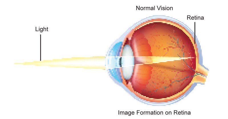 Image Formation by an Eye - Sawan Books