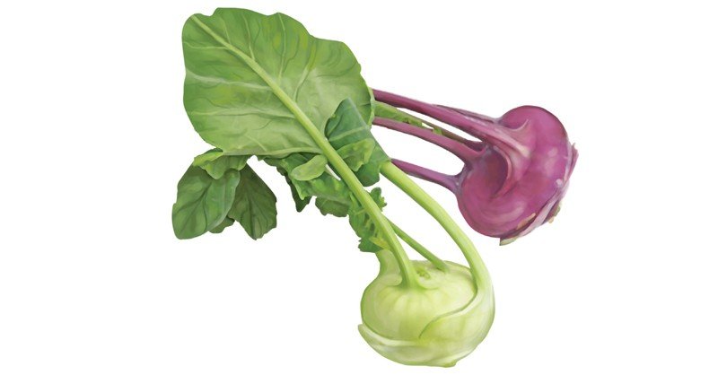 Kohlrabi
