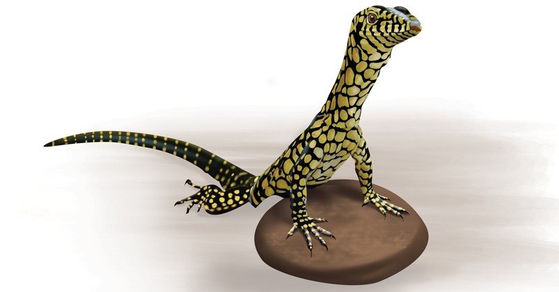 Perentie