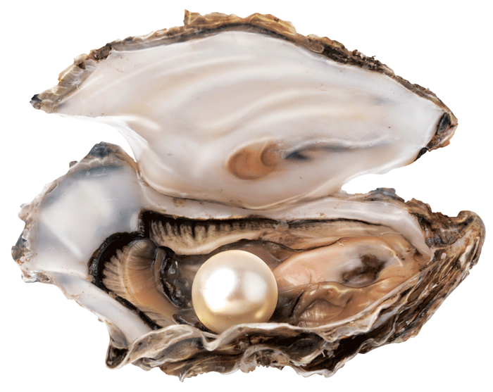 How do oysters make pearls?