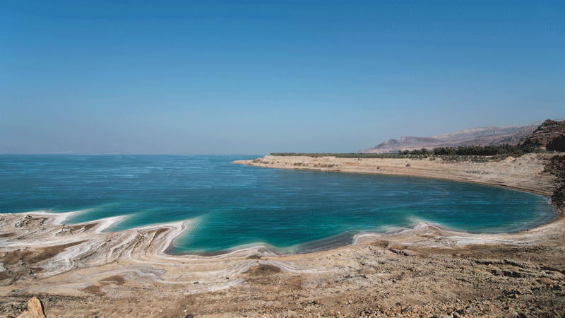Why is there no life in the Dead Sea? - Sawan Books