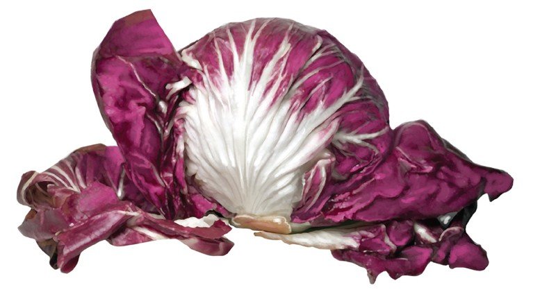 Radicchio