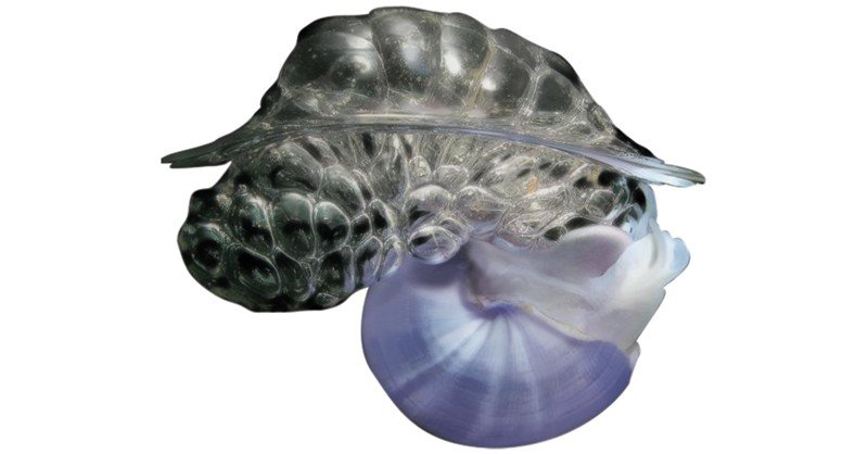 Violet-Sea-Snail