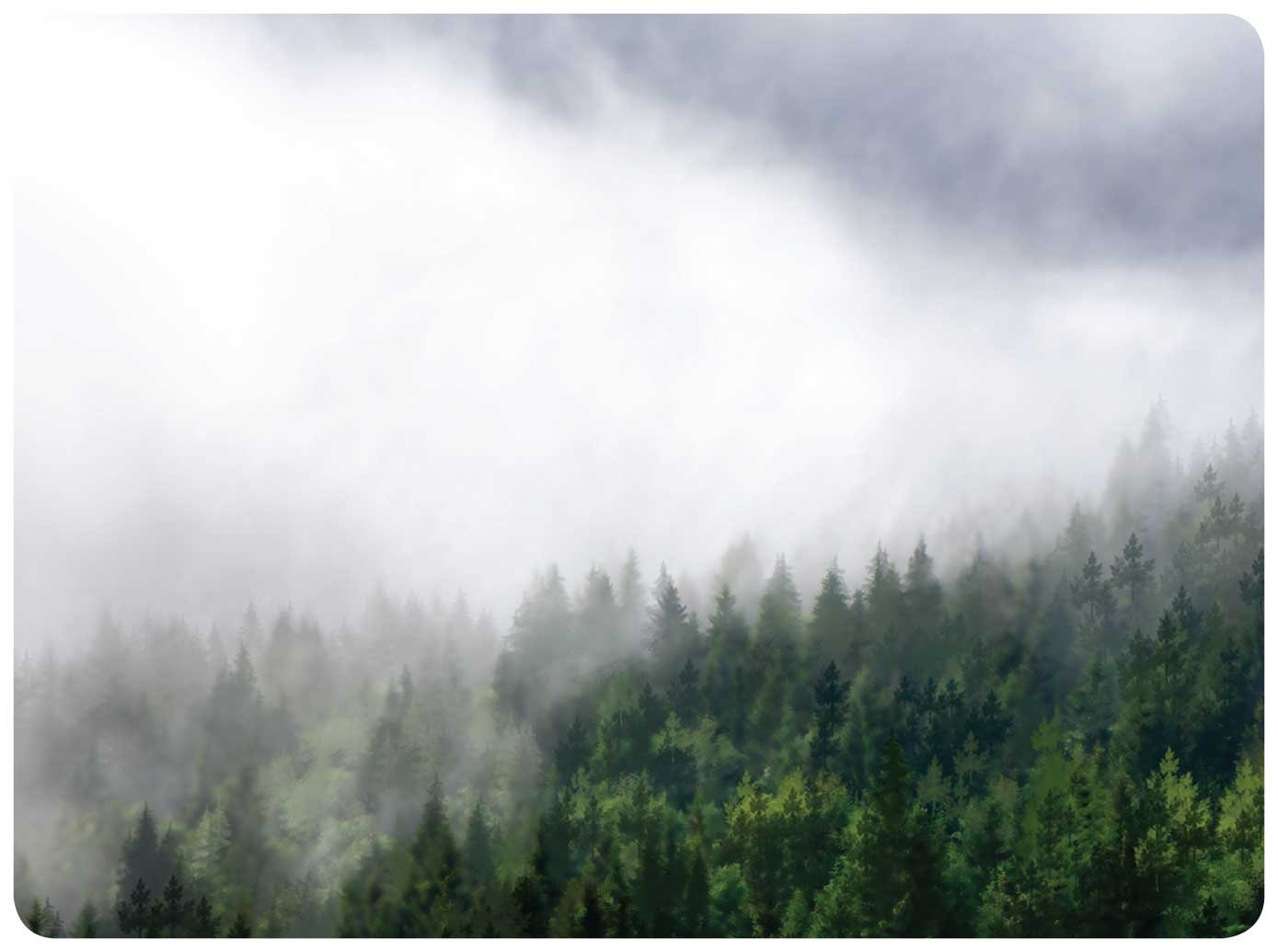 What is Fog? - Sawan Books