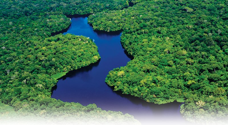 12-Amazon-Rainforest