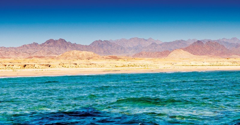 The Northern Red Sea