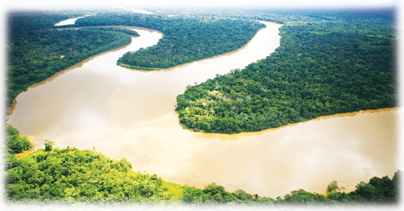 Amazon-Rainforest