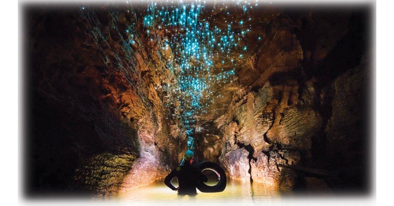 Glowworm-Cave