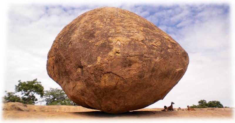Krishna's-Butterball