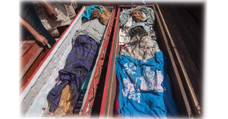 Living-with-the-Dead