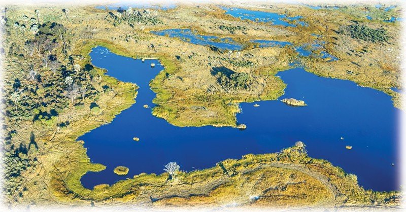 Okavango-Delta