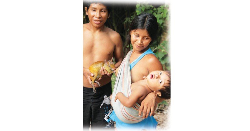 Pets-from-Orphaned-Animals