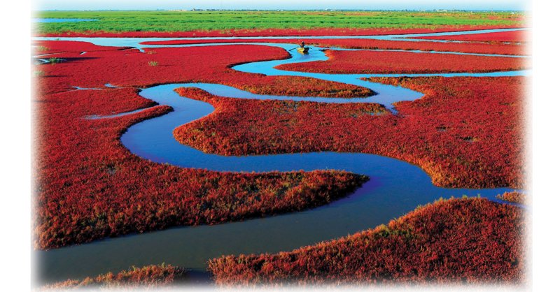 Red-Beach