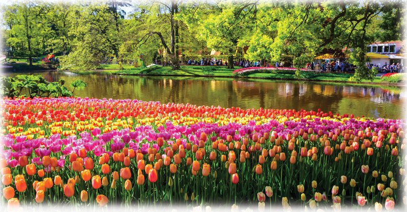River-of-Flowers