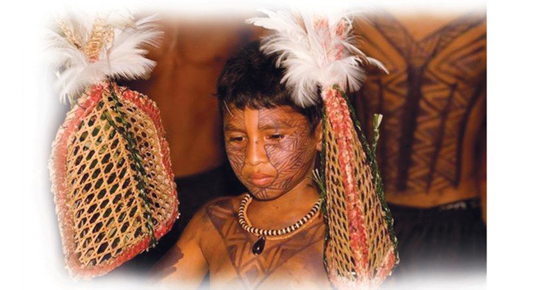 Test-of-the-Bullet-Ants