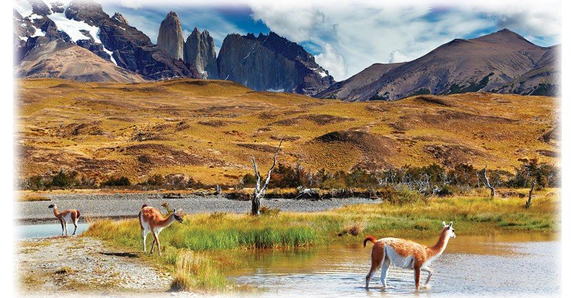 Torres-de-Paine-National-Park