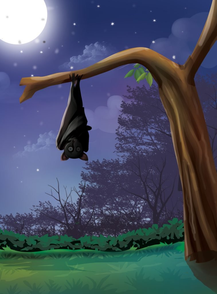 Why do Bats Hang Upside Down? Sawan Books