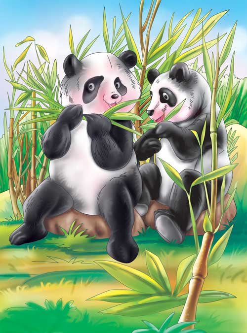 The Two Giant Pandas