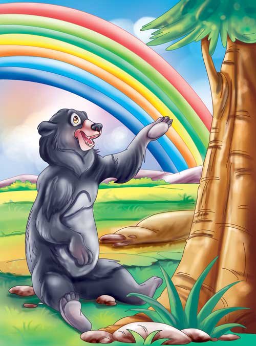 The Bear’s Colourful Fur