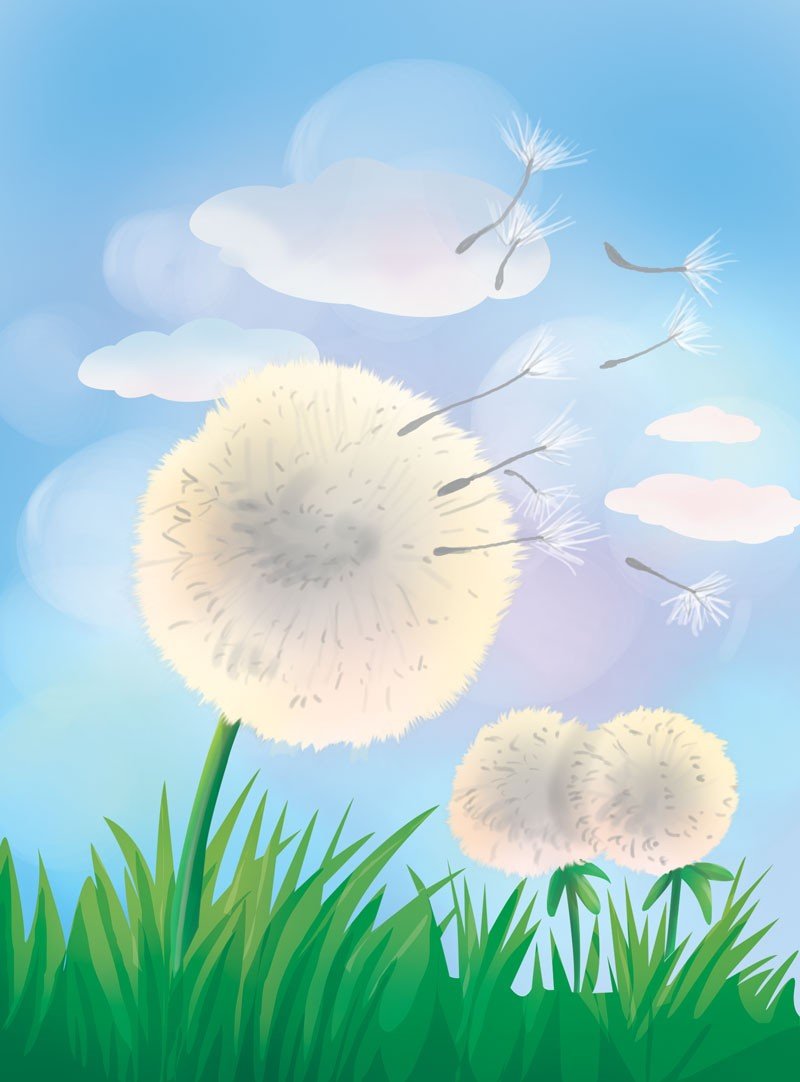 Why are Windpollinated Flowers Very Light? Sawan Books