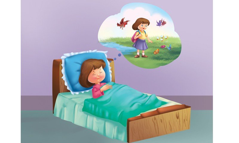 Pearl-in-the-Reef-Garden