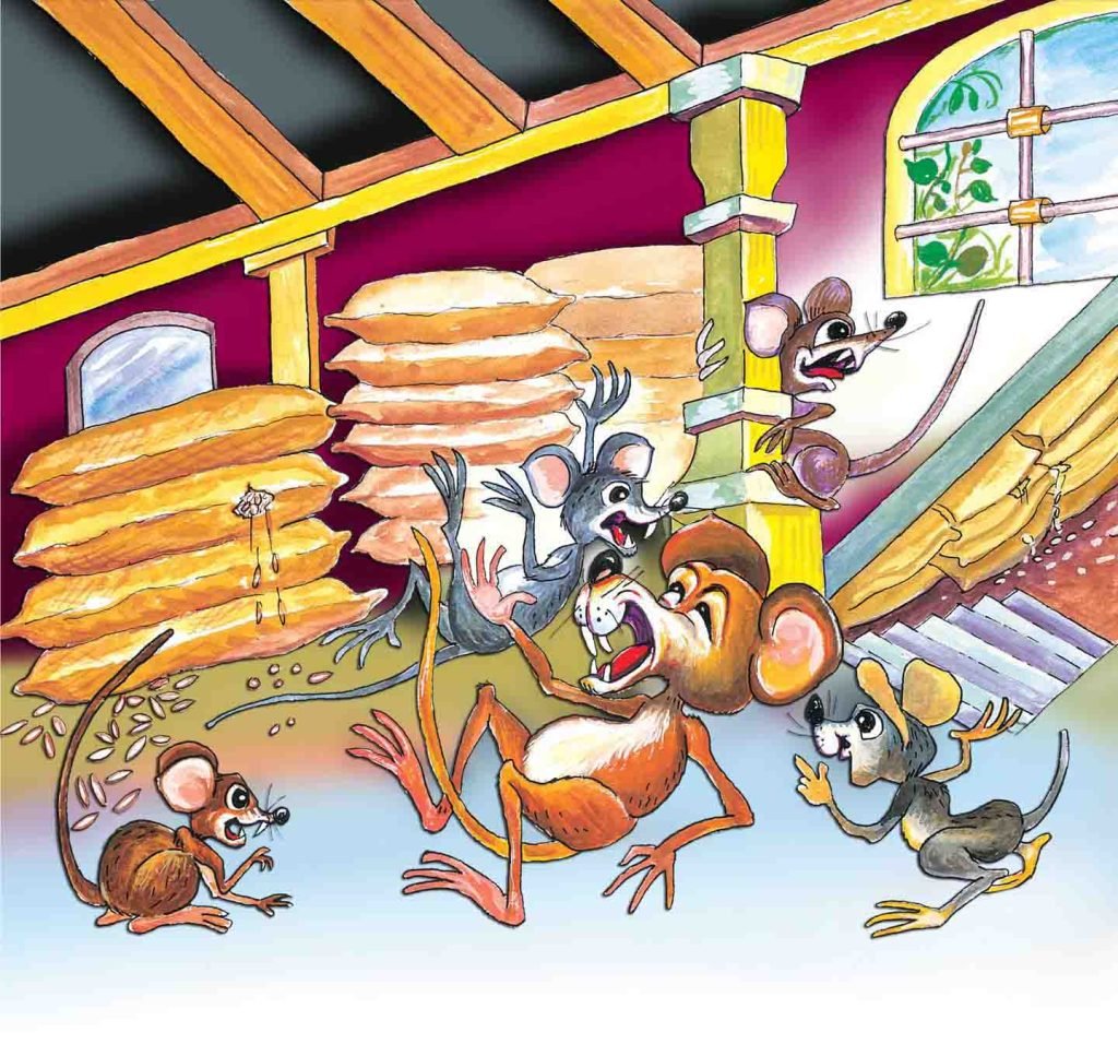 Who Will Bell The Cat?