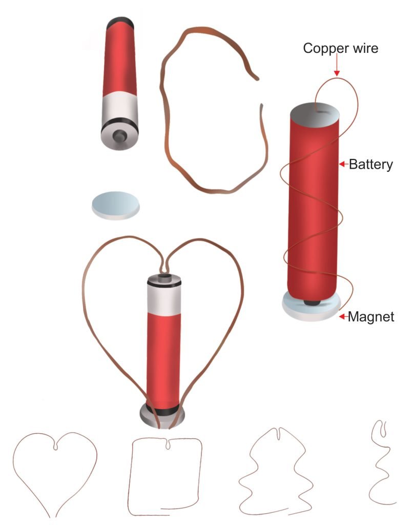 Homopolar Motor (Funky Physics Experiments) Sawan Books