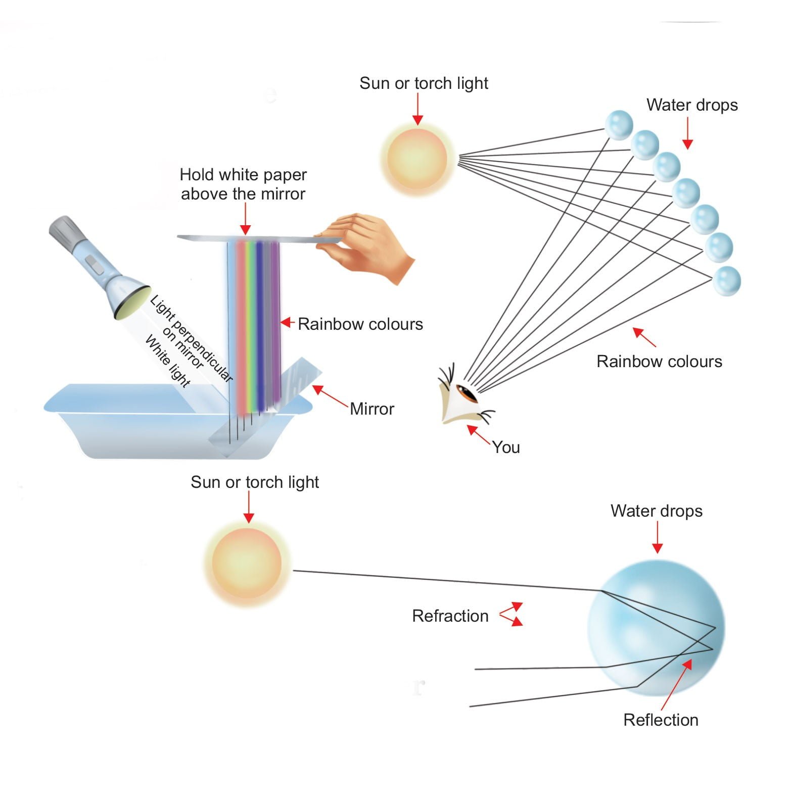 How Rainbows Are Made (Funky Physics Experiments) Sawan Books
