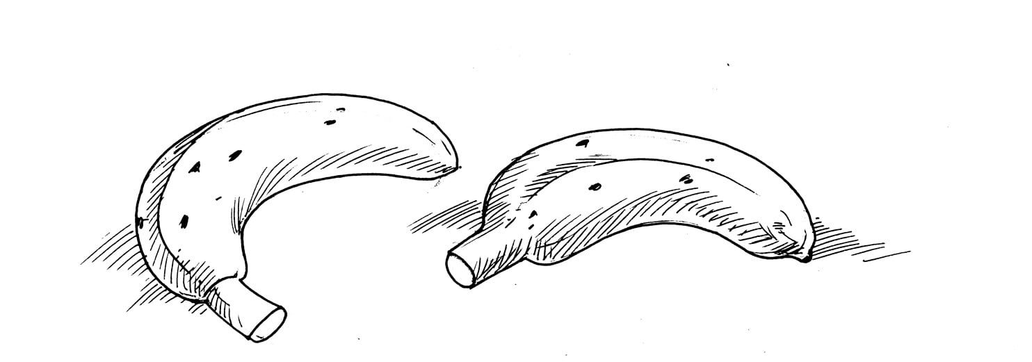 Not Refrigerator for Bananas (Biology Experiments) Sawan Books