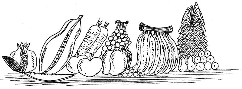 fruits