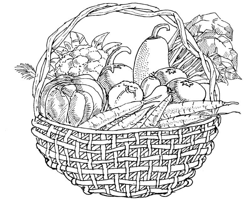 vegetables in basket