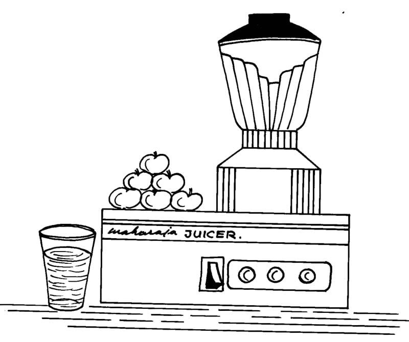 juicer mixer grinder fruit juice