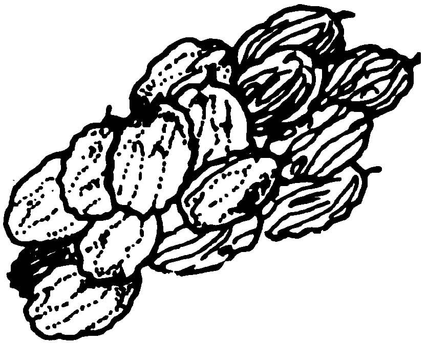 raisins