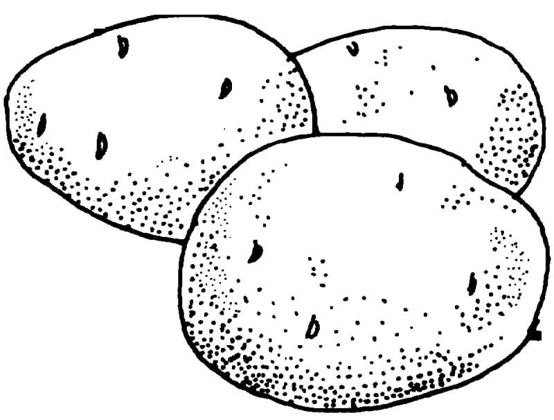 potatoes