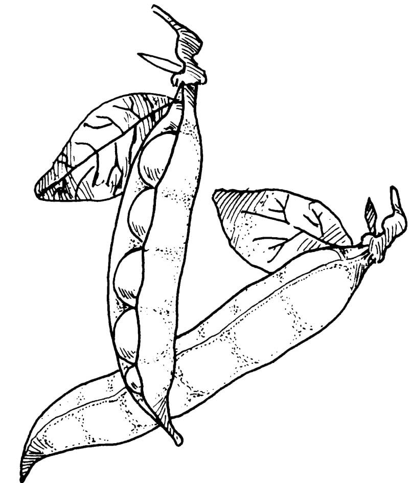 peas