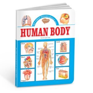 Human Body | My First Board-Book | Early Learning Picture Book