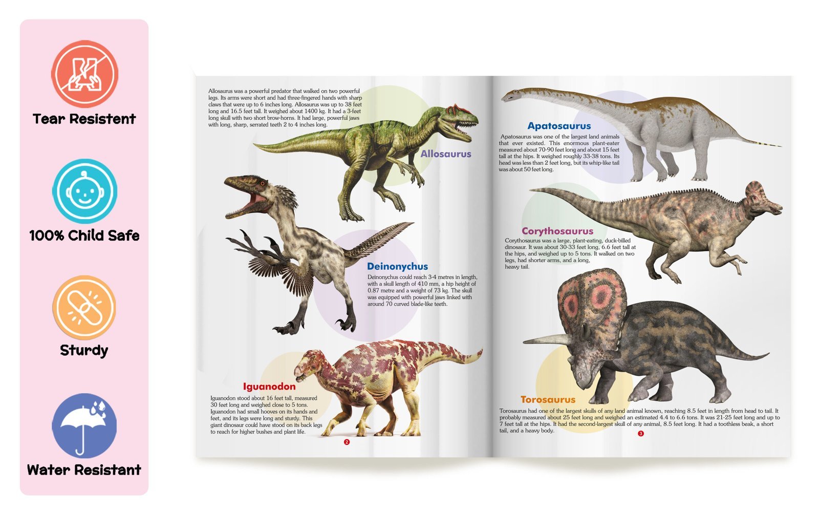 My First Book of Dinosaurs | My First Book (Can be Wiped Clean) - Image 3