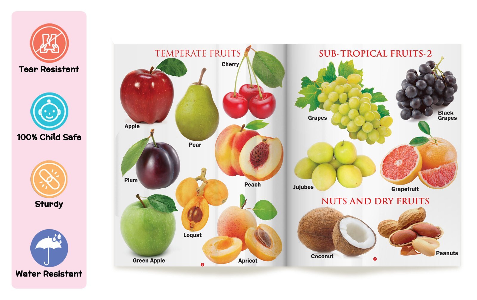My First Book of Fruits | My First Book (Can be Wiped Clean) - Image 3