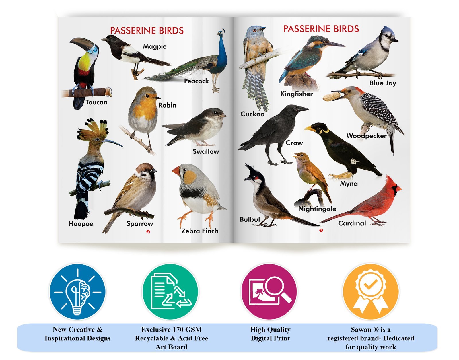 My First Book of Birds | My First Book (Can be Wiped Clean) - Image 7