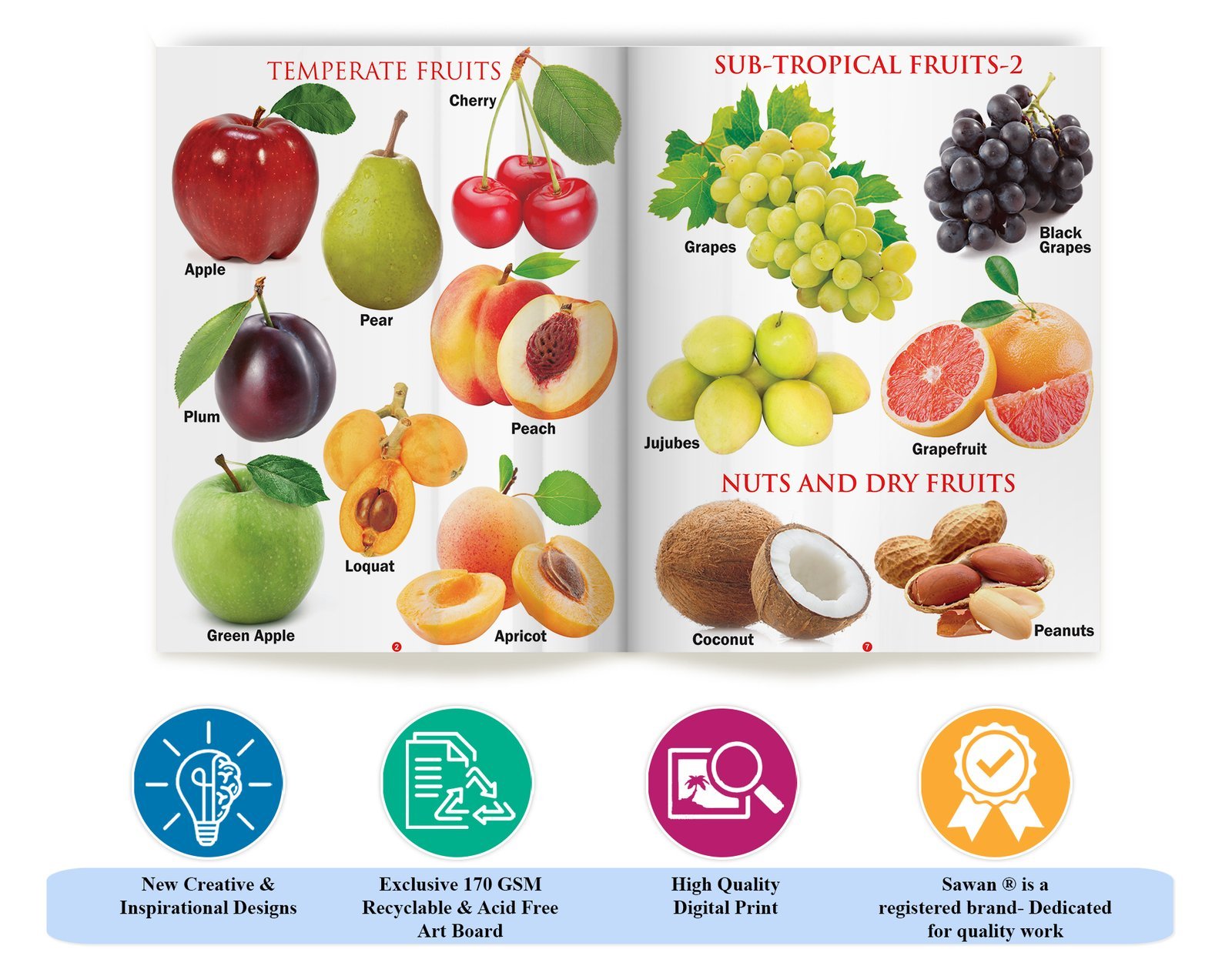 My First Book of Fruits | My First Book (Can be Wiped Clean) - Image 7