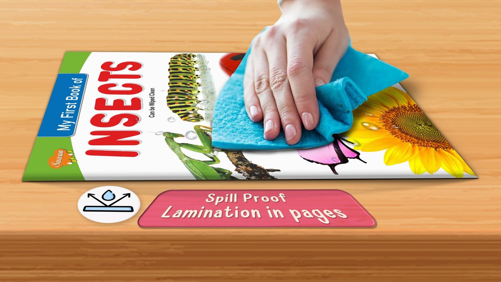 My First Book of Insects | My First Book (Can be Wiped Clean) - Image 6