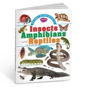 Insects, Amphibians and Reptiles | My First Board-Book | Early Learning Picture Book